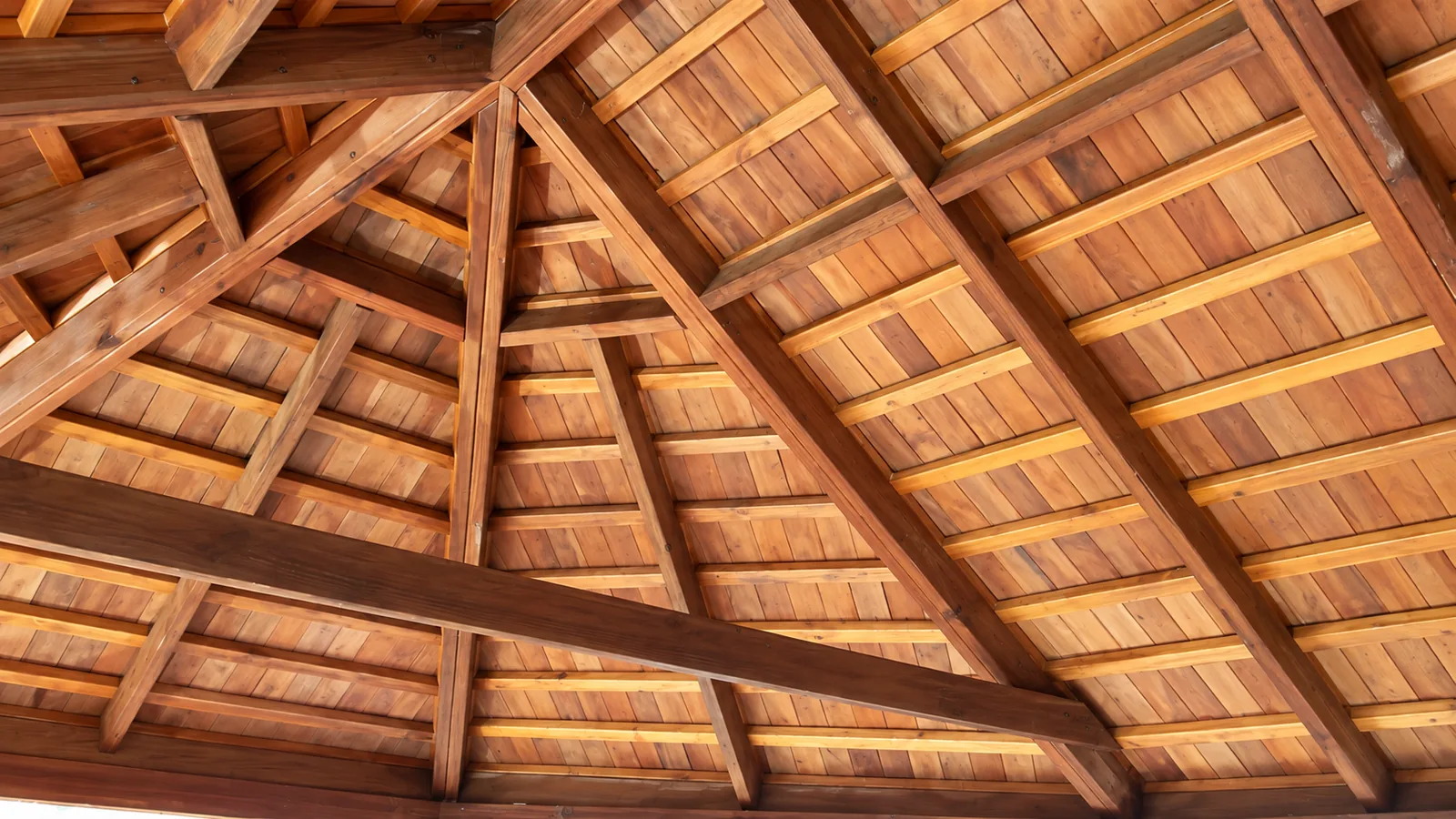 Underside of timber shingle roof with radial framing